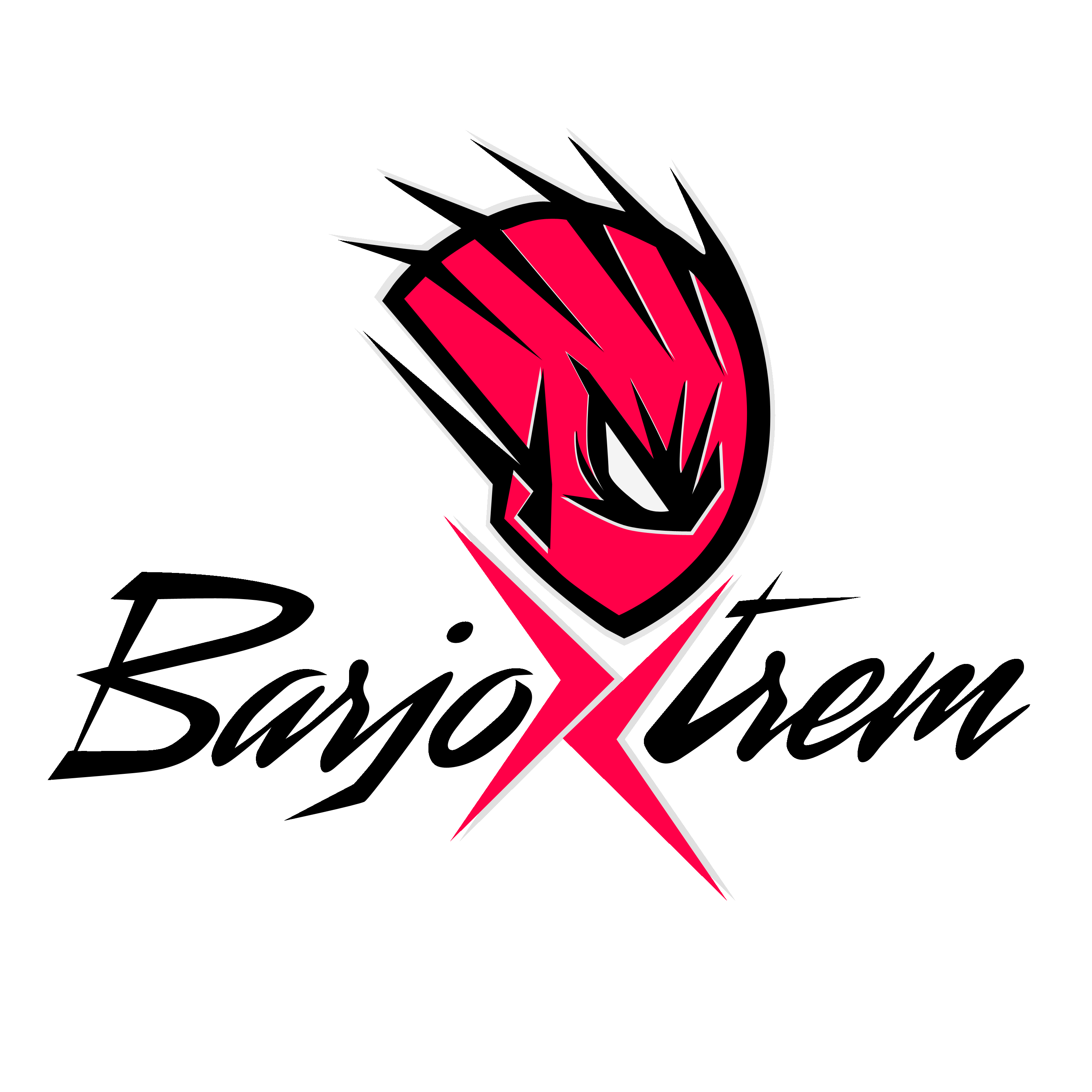 BarjoXtrem - Parcours d'obstacles - Lyon Sud