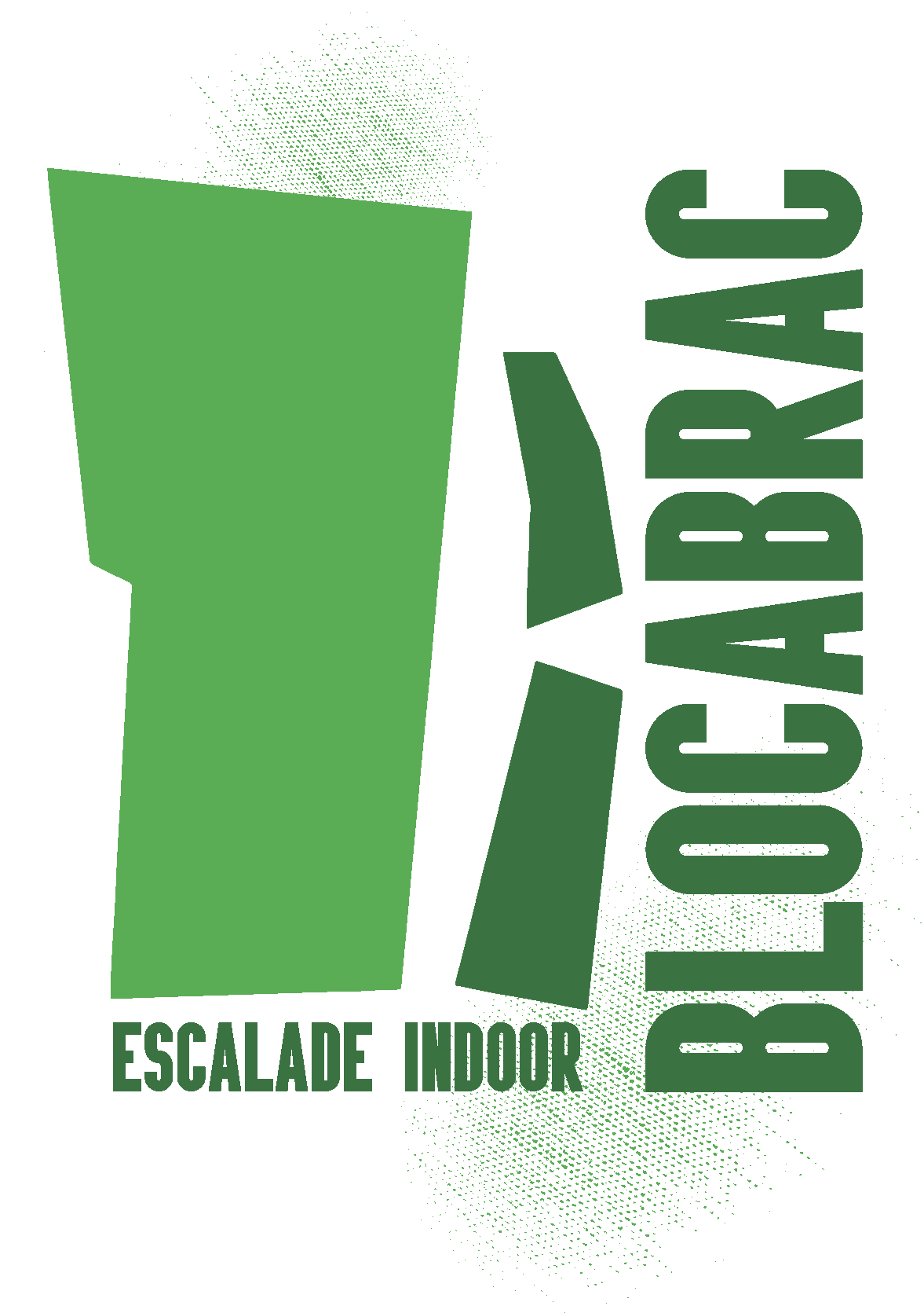 BLOCABRAC - Salle d'escalade de Bloc - Sports individuels & Sports de Balle - Loire